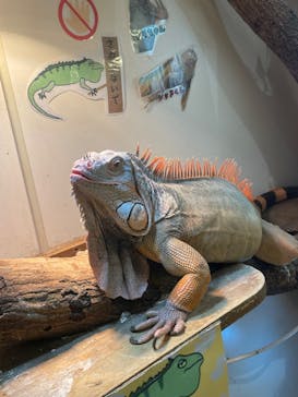 アニタッチららぽーと名古屋みなとアクルスに投稿された画像（2025/8/24）