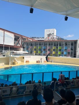 伊豆・三津シーパラダイスに投稿された画像（2025/8/24）