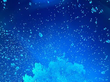 みろくの里に投稿された画像（2025/8/24）