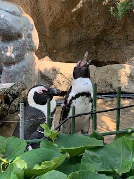 サンシャイン水族館に投稿された画像（2025/8/24）