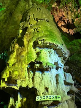 あぶくま洞に投稿された画像（2025/8/24）