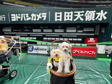 Pet博2025 福岡に投稿された画像（2025/8/24）
