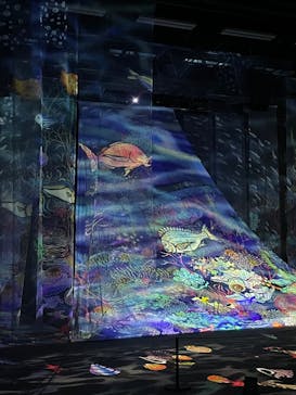 旅する光の切り絵展 ～くうそうって、まほうだよ～に投稿された画像（2025/8/24）