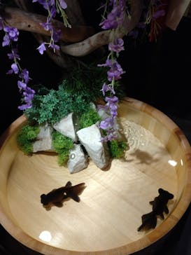 錦鯉・金魚アクアリウム in ときメッセに投稿された画像（2025/8/24）