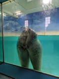 下田海中水族館に投稿された画像（2025/8/24）