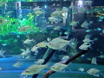 カワスイ 川崎⽔族館に投稿された画像（2025/8/24）