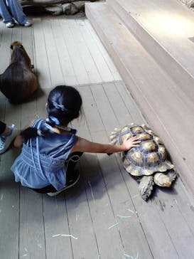 カワスイ 川崎⽔族館に投稿された画像（2025/8/24）