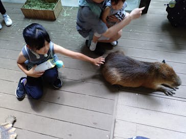 カワスイ 川崎⽔族館に投稿された画像（2025/8/24）