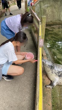 那須どうぶつ王国に投稿された画像（2025/8/24）