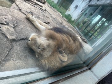 千葉市動物公園に投稿された画像（2025/8/24）