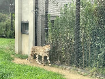 千葉市動物公園に投稿された画像（2025/8/24）