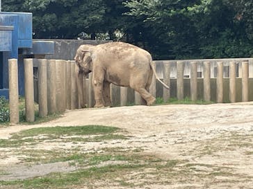 千葉市動物公園に投稿された画像（2025/8/24）