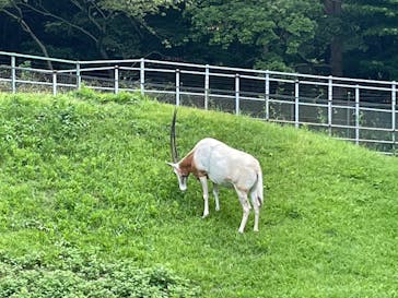 千葉市動物公園に投稿された画像（2025/8/24）