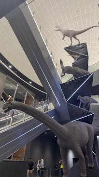 福井県立恐竜博物館に投稿された画像（2025/8/24）