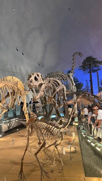 福井県立恐竜博物館に投稿された画像（2025/8/24）