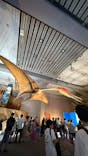 巨大恐竜展2025に投稿された画像（2025/8/24）