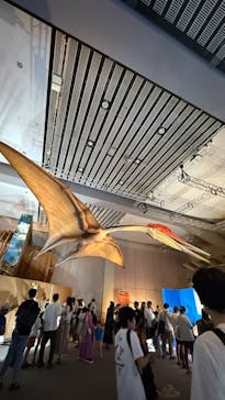 巨大恐竜展2025に投稿された画像（2025/8/24）