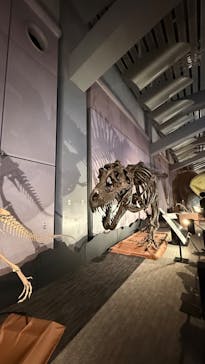 巨大恐竜展2025に投稿された画像（2025/8/24）