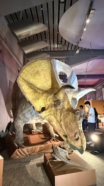 巨大恐竜展2025に投稿された画像（2025/8/24）