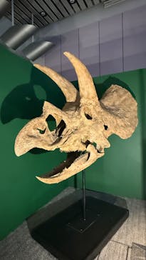 巨大恐竜展2025に投稿された画像（2025/8/24）