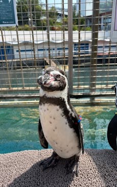 伊豆・三津シーパラダイスに投稿された画像（2025/8/24）