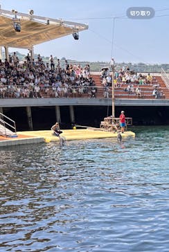 伊豆・三津シーパラダイスに投稿された画像（2025/8/24）