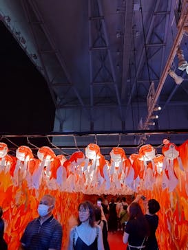 錦鯉・金魚アクアリウム in ときメッセに投稿された画像（2025/8/24）