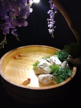 錦鯉・金魚アクアリウム in ときメッセに投稿された画像（2025/8/24）