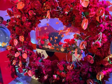 錦鯉・金魚アクアリウム in ときメッセに投稿された画像（2025/8/24）