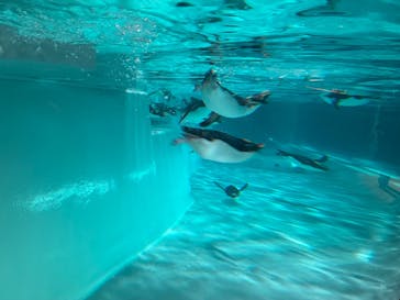 AOAO SAPPOROに投稿された画像（2025/8/24）