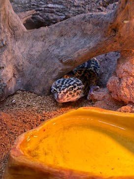 AOAO SAPPOROに投稿された画像（2025/8/24）