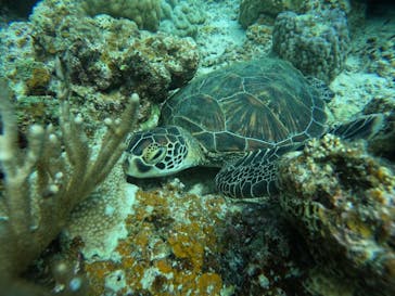  マリンショップHAPPYに投稿された画像（2025/8/24）