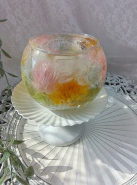 ずこうしつ〜sugamo〜に投稿された画像（2025/8/24）