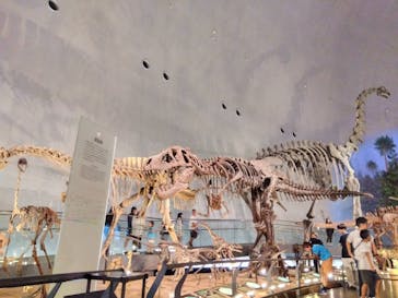 福井県立恐竜博物館に投稿された画像（2025/8/24）