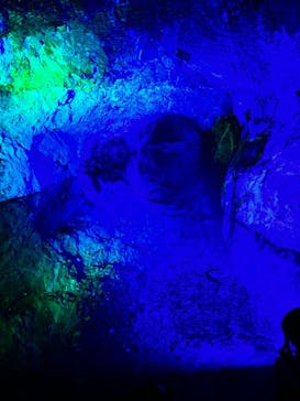 地底王国「美川ムーバレー」に投稿された画像（2025/8/24）