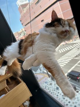 アソビュー株式会社 162724に投稿された画像（2025/8/24）