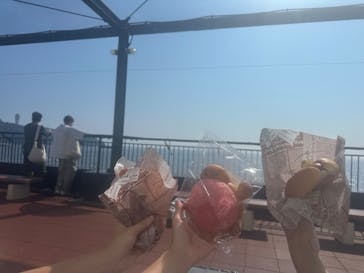 新江ノ島水族館に投稿された画像（2025/8/24）