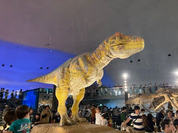 福井県立恐竜博物館に投稿された画像（2025/8/24）