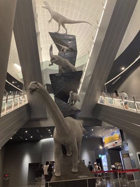 福井県立恐竜博物館に投稿された画像（2025/8/24）