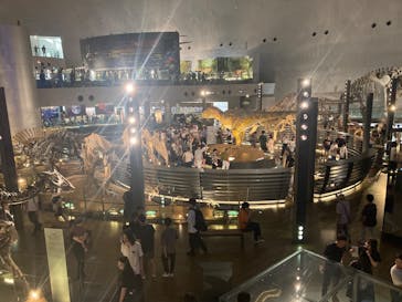 福井県立恐竜博物館に投稿された画像（2025/8/24）