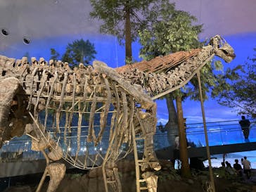 福井県立恐竜博物館に投稿された画像（2025/8/24）