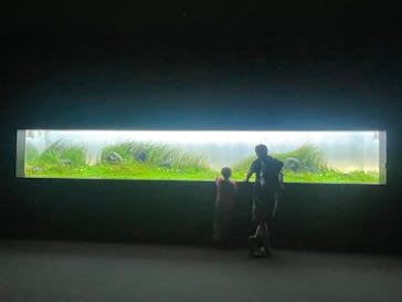 AOAO SAPPOROに投稿された画像（2025/8/24）