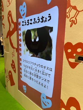 君も博士になれる展 in東京ミッドタウン八重洲に投稿された画像（2025/8/24）