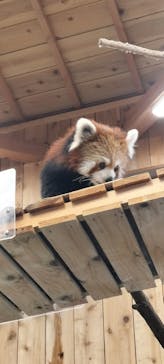 伊豆シャボテン動物公園に投稿された画像（2025/8/24）