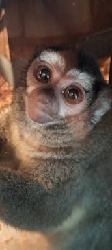 伊豆シャボテン動物公園に投稿された画像（2025/8/24）