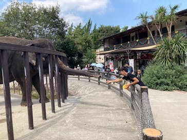 ANIMAL WONDER REZOURT 市原ぞうの国・サユリワールドに投稿された画像（2025/8/24）