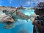 のとじま水族館に投稿された画像（2025/8/24）