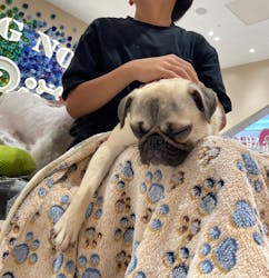 いぬカフェRio ゆめタウン久留米店に投稿された画像（2025/8/24）