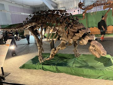 巨大恐竜展2025に投稿された画像（2025/8/24）
