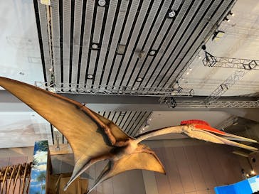 巨大恐竜展2025に投稿された画像（2025/8/24）